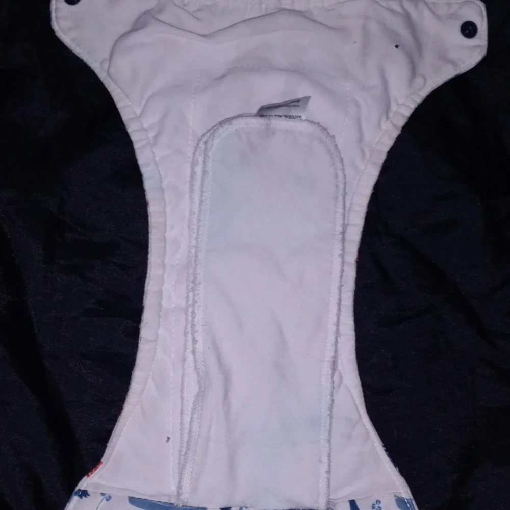 5 Pairs of Reusable Bsby Diapers